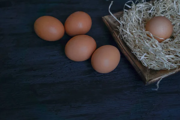 Tavuk siyah arka plan üzerine yumurta. Paskalya Tema