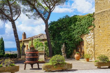 Bağ, şaraphane peyzaj Manzaralı