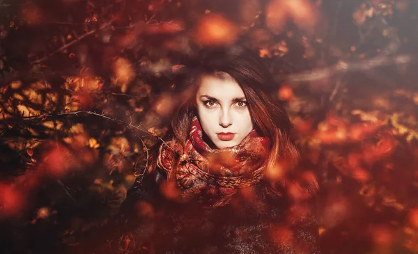 Reina de otoño — Foto de Stock