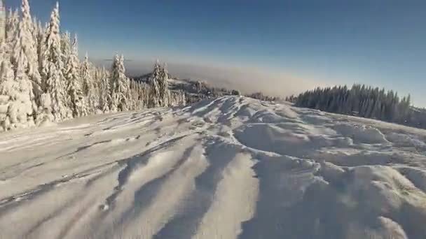 Snowboarder passeios através de neve profunda em pó no sertão selvagem — Vídeo de Stock