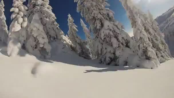 滑雪者骑着马穿过深粉雪在偏僻的荒野 — 图库视频影像