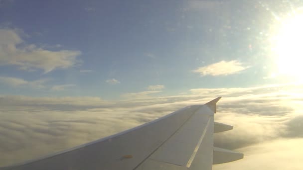 Vista di ala fuori dall'aeroplano volante — Video Stock