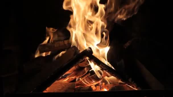 Palić ogień z drewna i nogi — Wideo stockowe