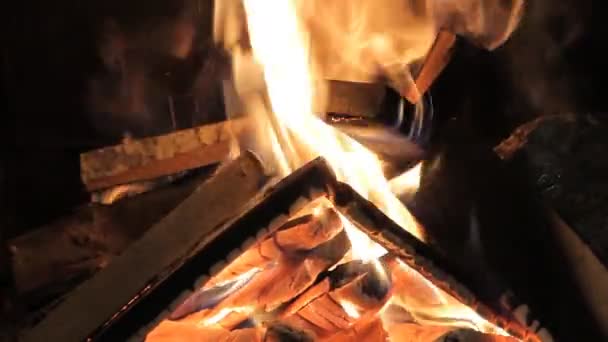 Quemar fuego con madera y patas — Vídeos de Stock
