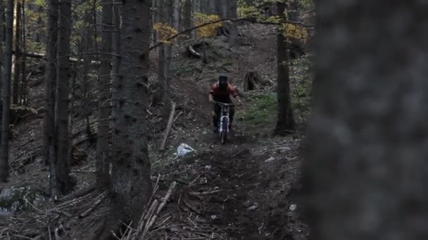 Ποδήλατο ιππασία ποδηλάτης βουνού σε ξύλο — Αρχείο Βίντεο