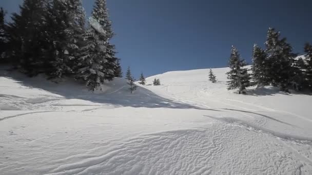 Snowboarder montar en polvo en un día de invierno soleado — Vídeos de Stock