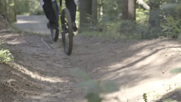 Человек на горном велосипеде езда велосипеде в лесу и выполнения трюки и прыжки — стоковое видео