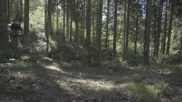 Hombre en bicicleta de montaña montar en bicicleta en el bosque y realizar trucos y saltos — Vídeos de Stock