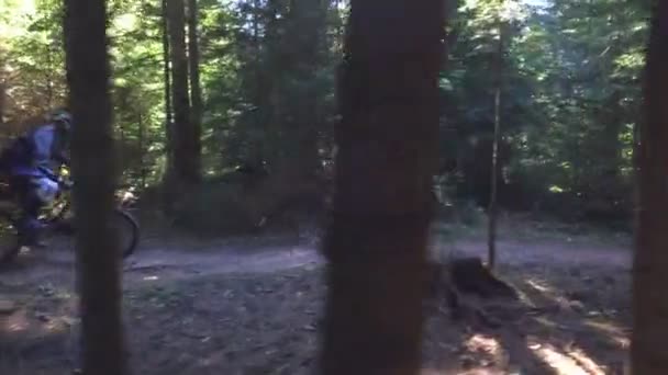 Homme en vélo de montagne équitation vélo dans la forêt et effectuer des tours et sauts 