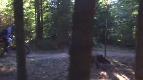 Hombre en bicicleta de montaña montar en bicicleta en el bosque y realizar trucos y saltos — Vídeo de stock