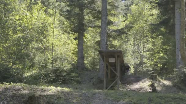 Чоловік на гірському велосипеді їзда на велосипеді в лісі і виконання трюків і стрибків — стокове відео