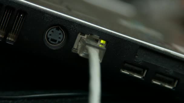 Puerto LAN en laptop, cable conectado a laptop . — Vídeo de stock
