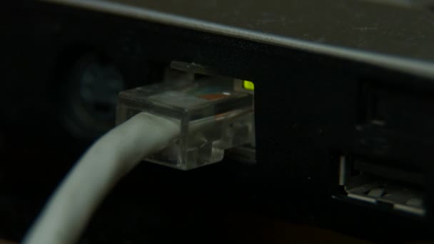 Puerto LAN en laptop, cable conectado a laptop . — Vídeos de Stock