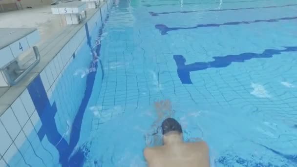 Uomo nuoto in piscina — Video Stock