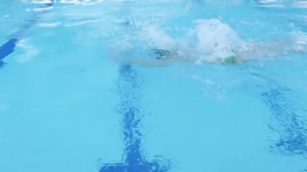 Hombre nadando en la piscina — Vídeo de stock