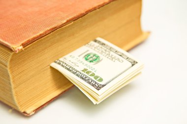 Yüz dolar faturaları kitap
