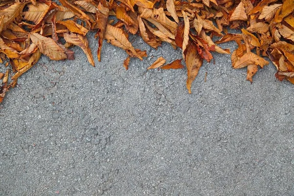 Blätter auf der Straße, Herbst naht, mit leerem Raum für Text — Stockfoto