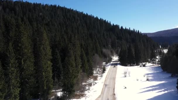 Dirigir Carro Estrada Montanha Floresta Coberta Neve — Vídeo de Stock