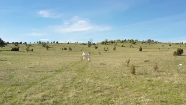 Happy Young Mother Daughter Having Fun Nature Park — Stock Video