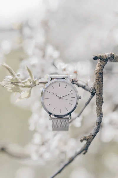 Relógio Elegante Branco Ramo — Fotografia de Stock