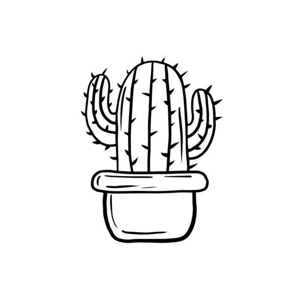 Cactus. Ilustración lineal vectorial de un cactus. Dibujo de dibujo de una planta de interior . — Vector de stock