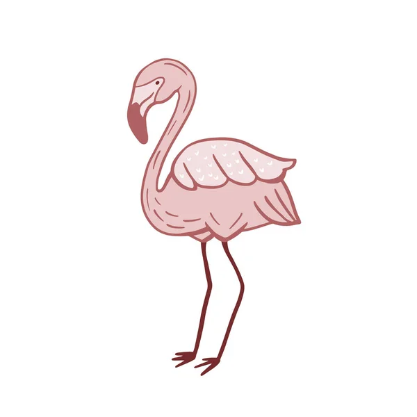 Flamingo Vektor Farbskizze Cartoon Stil Vogelillustration Vogelsymbol — Stockvektor