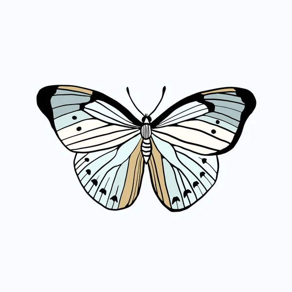 Mariposa Dibujo Mano Alzada Color Vectorial Ilustración Estilo Doodle — Archivo Imágenes Vectoriales