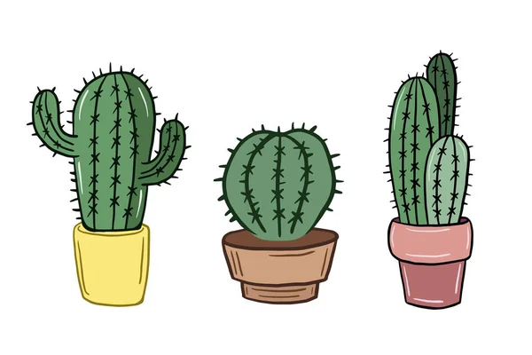 Conjunto Cactus Ilustración Vectorial Cactus Estilo Dibujos Animados Estilo Doodle — Vector de stock