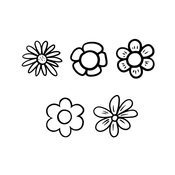 Heřmánek Sada Heřmánkových Květin Vektorová Kresba Zleva Lineární Ilustrace Květin — Stockový vektor