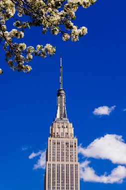 Bahar Nisan 2015 yakın kadar Empire State Binası ağaç, N
