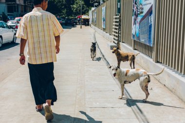 Yangon, Myanmar - 19th Şubat 2014: İnsanlar ve köpekler üzerinde yürüyor 