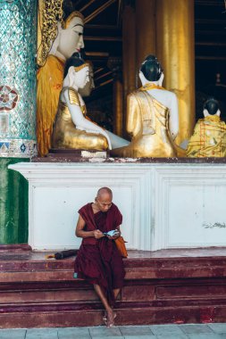 Yangon, Myanmar - 19th Şubat 2014: Monk okuyor te önünde