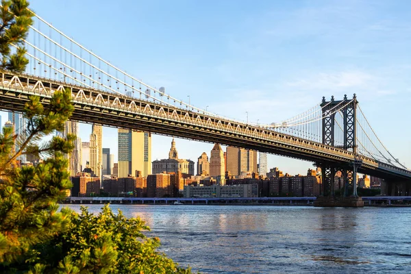 New York City / Usa - 25. června 2018: Brooklyn Bridge Park s panorama Dolního Manhattanu při východu slunce — Stock fotografie
