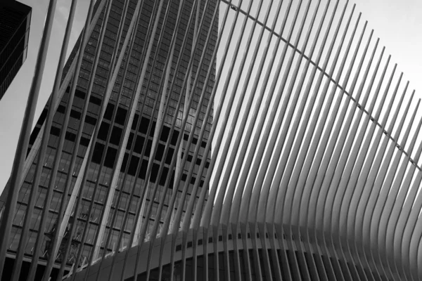 World Trade Center Transportation Hub Oculus på nedre Manhattan — Stockfoto
