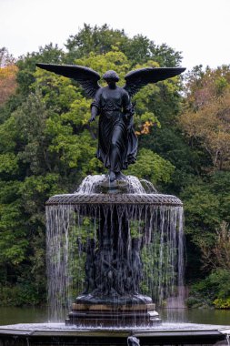 Central Park 'ın güneyinde sonbahar başlangıcı rengi