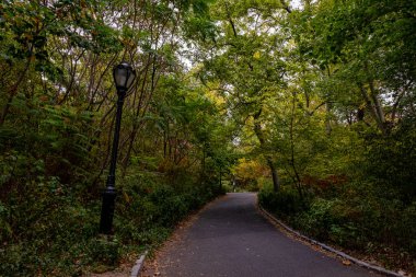 Central Park 'ın güneyinde sonbahar başlangıcı rengi