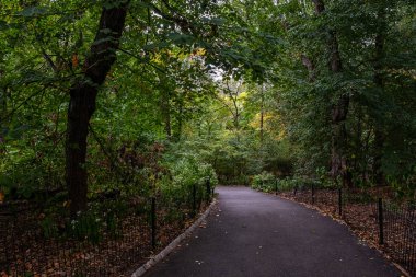 Central Park 'ın güneyinde sonbahar başlangıcı rengi