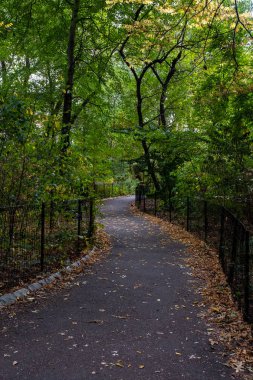 Central Park 'ın güneyinde sonbahar başlangıcı rengi