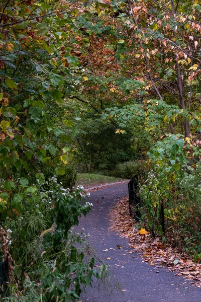 Νωρίς το φθινόπωρο χρώμα στο Central Park South — Φωτογραφία Αρχείου