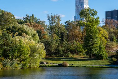 Central Park 'ın kuzeyinde sonbahar başları rengi
