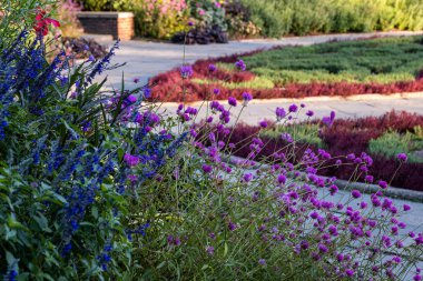 Central Park 'ın kuzeyinde sonbahar başları rengi