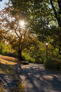 Central Park 'ın kuzeyinde sonbahar başları rengi