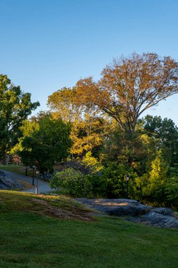 Central Park 'ın kuzeyinde sonbahar başları rengi