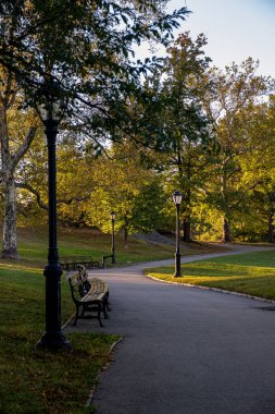 Central Park 'ın kuzeyinde sonbahar başları rengi
