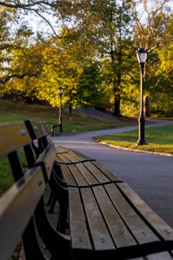 Central Park 'ın kuzeyinde sonbahar başları rengi