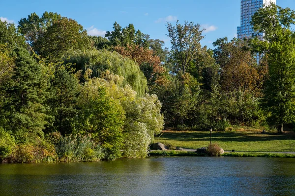 Central Park 'ın kuzeyinde sonbahar başları rengi