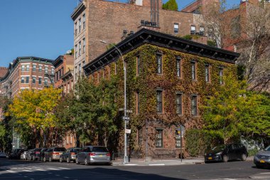 Aşağı Manhattan 'daki Greenwich Village' ın sonbahar yeşillik rengi