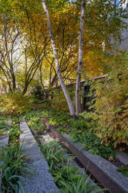 Şehir merkezindeki Chelsea Yüksek Hat Parkı 'nın sonbahar yeşillik rengi