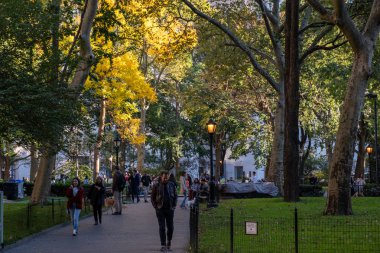 Madison Square Park Flatiron Bölgesi 'nin sonbahar yeşillik rengi