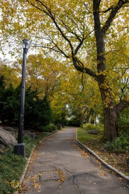 Fort George Manhattan 'daki Fort Tryon Park' ın sonbahar yeşillik rengi
